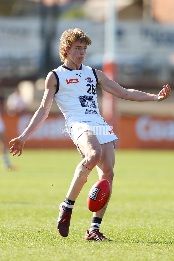 Coates League Boys 2023 - Sandringham Dragons v Geelong Falcons - A-43231989