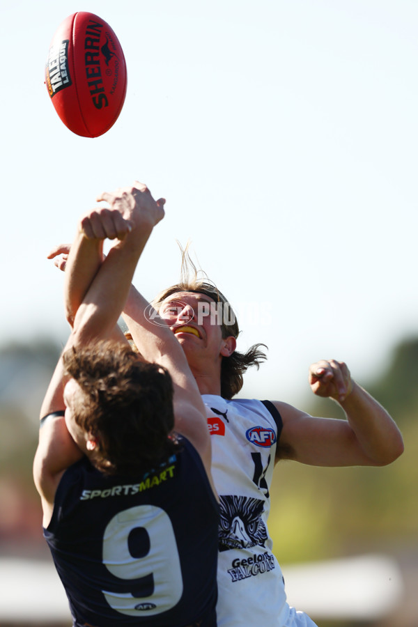 Coates League Boys 2023 - Sandringham Dragons v Geelong Falcons - A-43232182