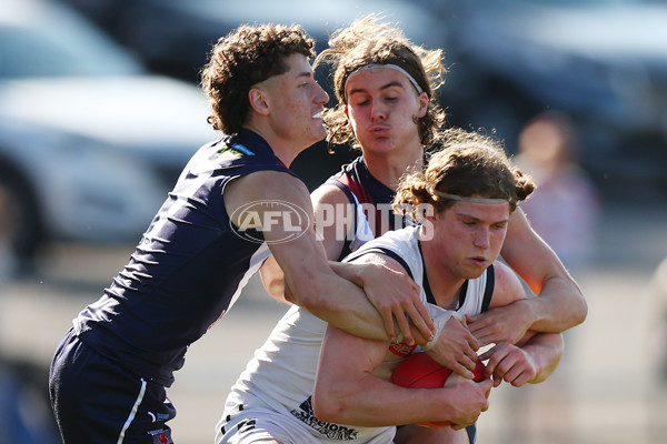 Coates League Boys 2023 - Sandringham Dragons v Geelong Falcons - A-43232183