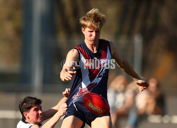 Coates League Boys 2023 - Sandringham Dragons v Geelong Falcons - A-43234307