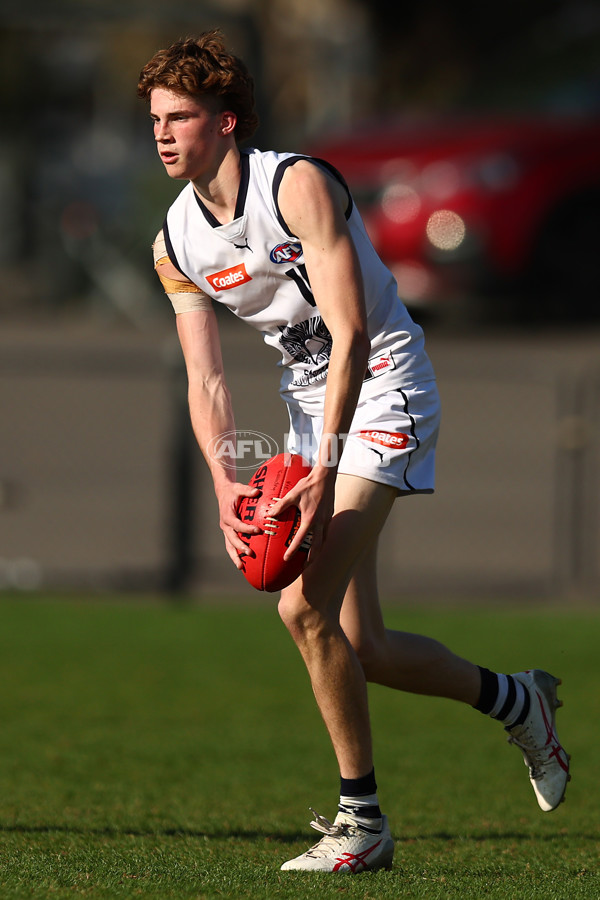 Coates League Boys 2023 - Sandringham Dragons v Geelong Falcons - A-43234318