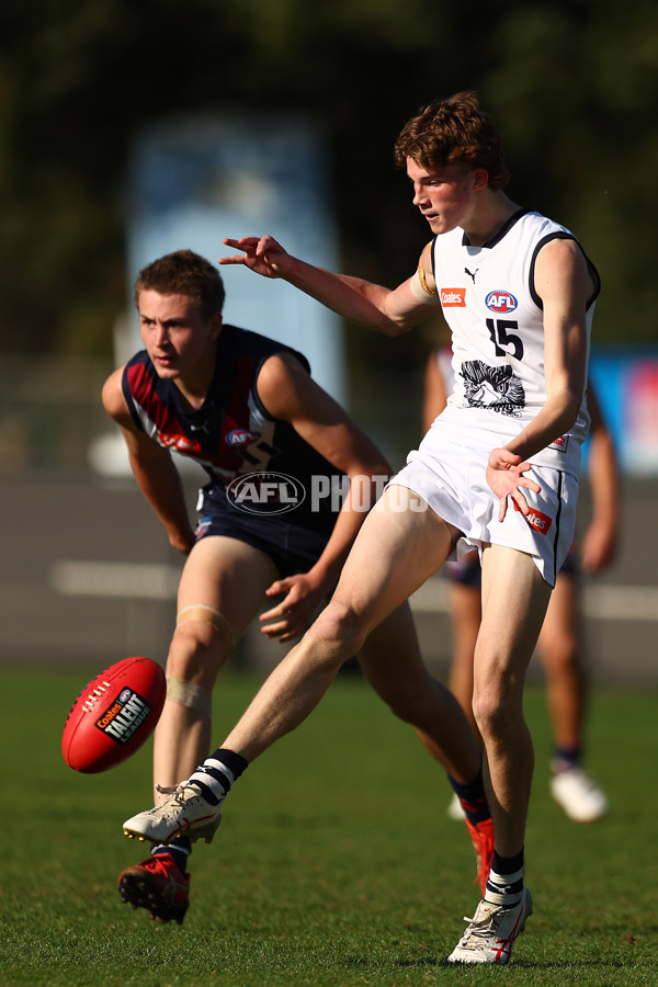 Coates League Boys 2023 - Sandringham Dragons v Geelong Falcons - A-43234319