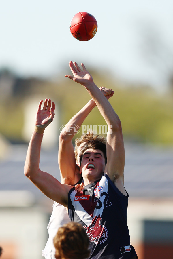 Coates League Boys 2023 - Sandringham Dragons v Geelong Falcons - A-43234789