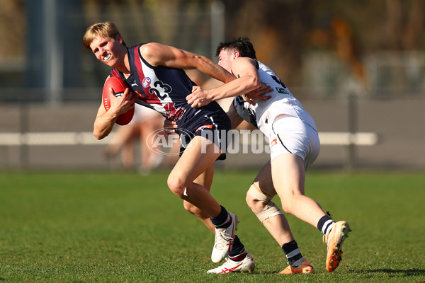 Coates League Boys 2023 - Sandringham Dragons v Geelong Falcons - A-43234792