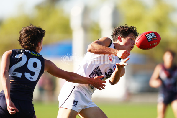 Coates League Boys 2023 - Sandringham Dragons v Geelong Falcons - A-43234808