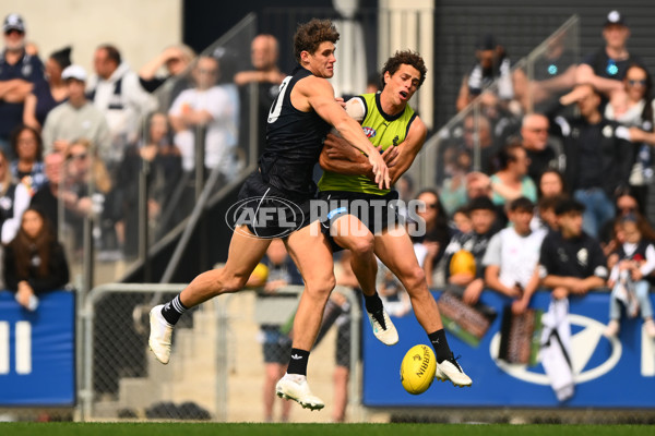 AFL 2023 Training - Carlton 180923 - A-43246997