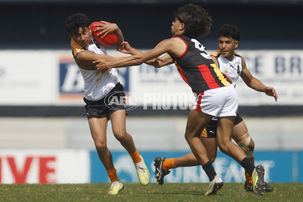 Diversity Series 2023 Match 1 — Flying Boomerangs v World Team - A-43271821