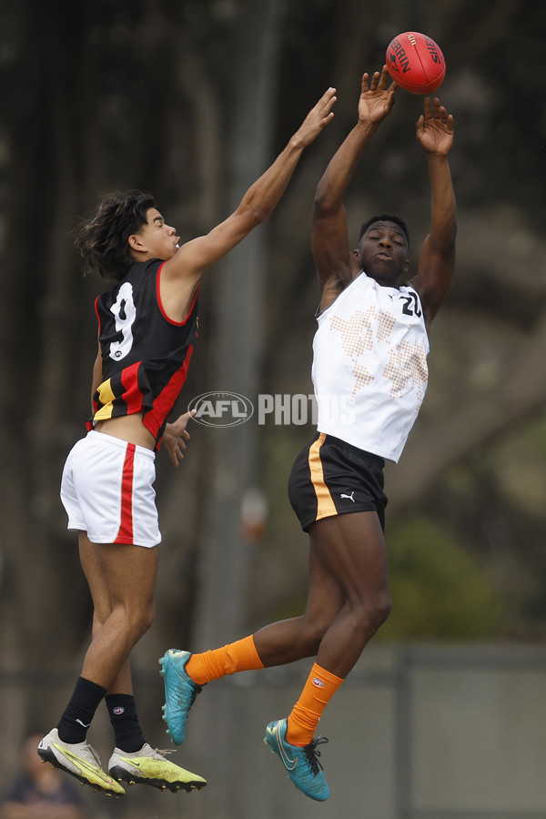 Diversity Series 2023 Match 1 — Flying Boomerangs v World Team - A-43273408