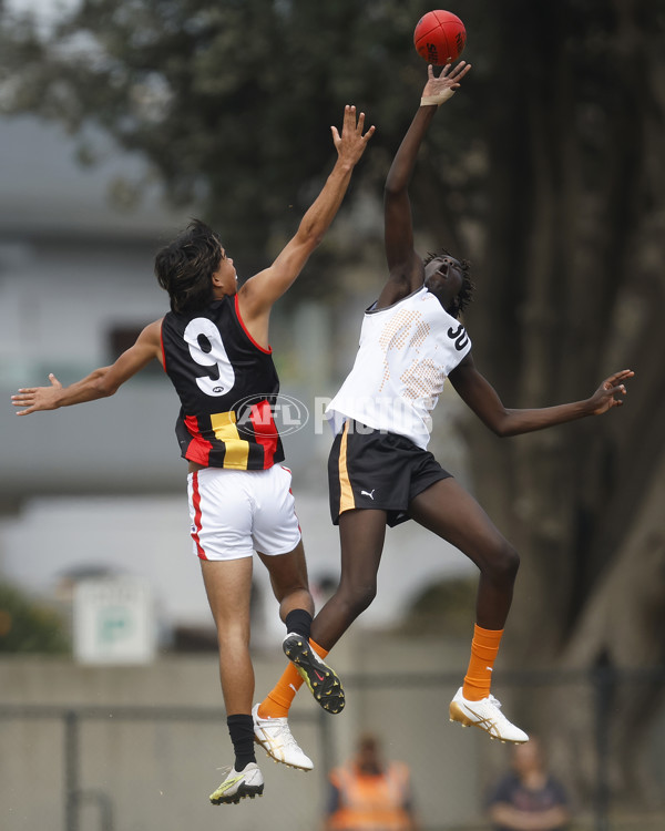 Diversity Series 2023 Match 1 — Flying Boomerangs v World Team - A-43273414