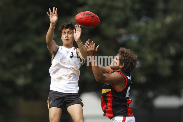 Diversity Series 2023 Match 1 — Flying Boomerangs v World Team - A-43273421