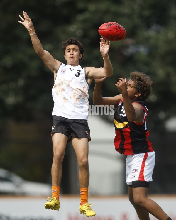Diversity Series 2023 Match 1 — Flying Boomerangs v World Team - A-43273422