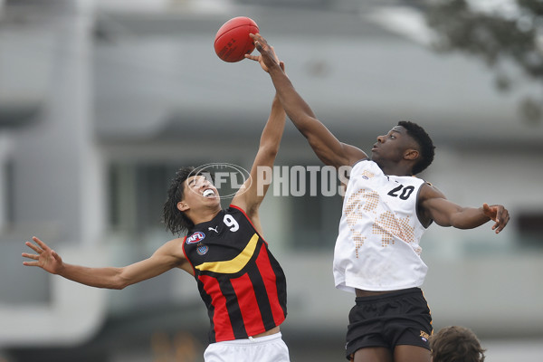 Diversity Series 2023 Match 1 — Flying Boomerangs v World Team - A-43276742