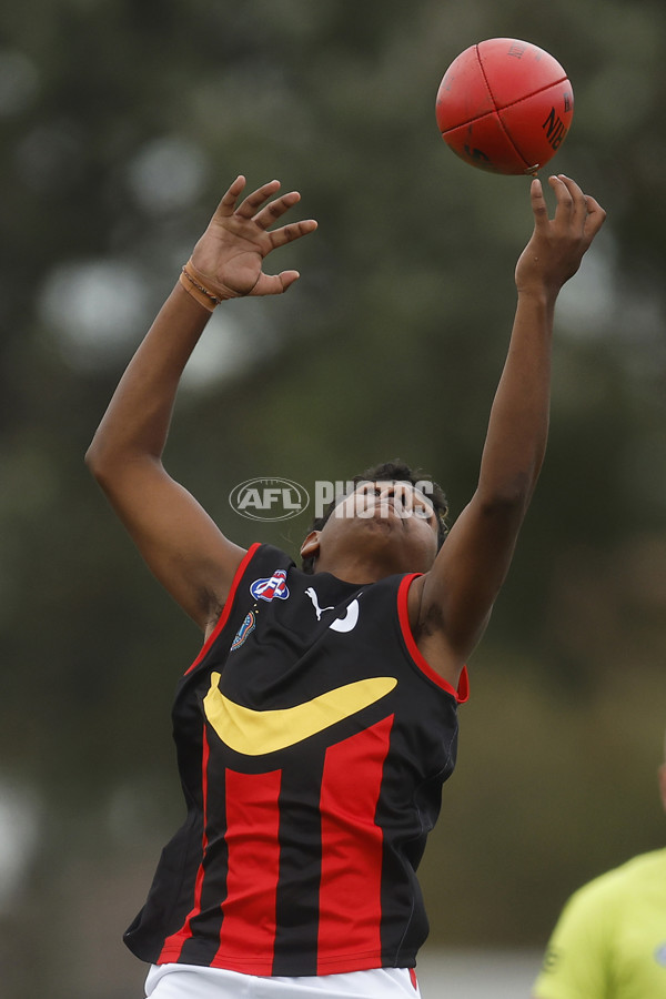 Diversity Series 2023 Match 1 — Flying Boomerangs v World Team - A-43276743