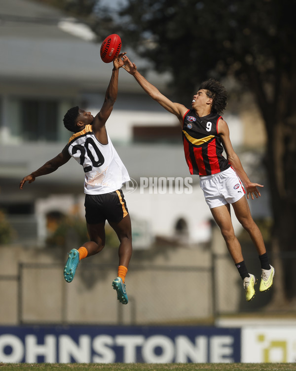 Diversity Series 2023 Match 1 — Flying Boomerangs v World Team - A-43276758