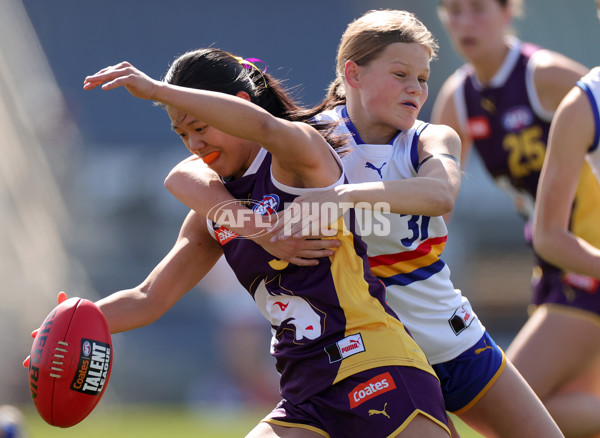 Coates Talent League Girls 2023 Grand Final  - Eastern Ranges v Oakleigh Chargers - A-43323778