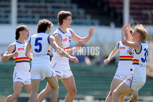 Coates Talent League Boys 2023 Grand Final - Sandringham Dragons v Eastern Ranges - A-43359896