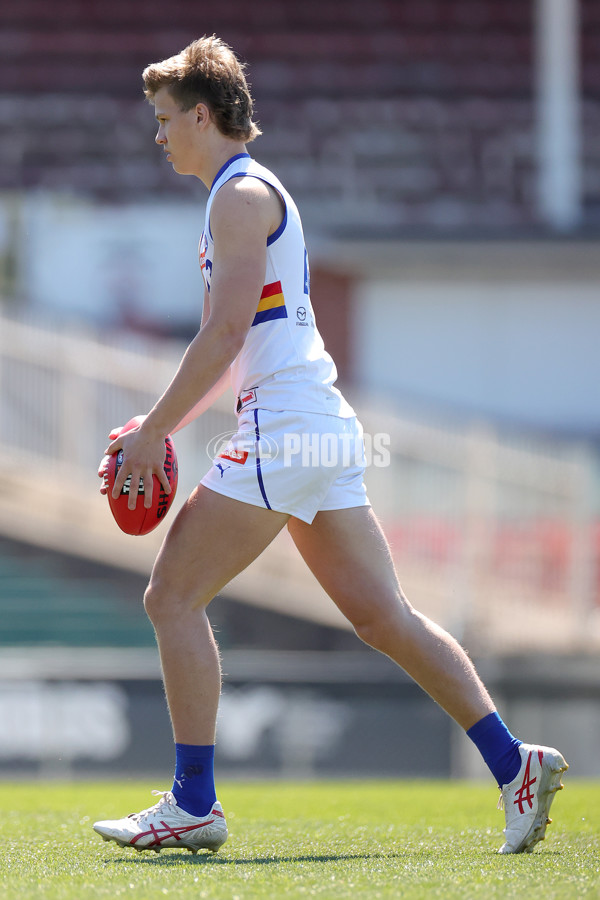 Coates Talent League Boys 2023 Grand Final - Sandringham Dragons v Eastern Ranges - A-43360756