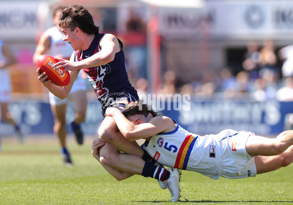 Coates Talent League Boys 2023 Grand Final - Sandringham Dragons v Eastern Ranges - A-43360762