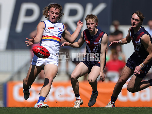 Coates Talent League Boys 2023 Grand Final - Sandringham Dragons v Eastern Ranges - A-43360808