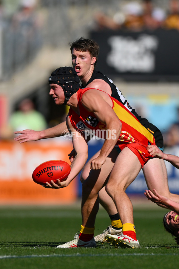 VFL 2023 Grand Final - Gold Coast v Werribee - A-43372182