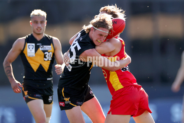 VFL 2023 Grand Final - Gold Coast v Werribee - A-43372225