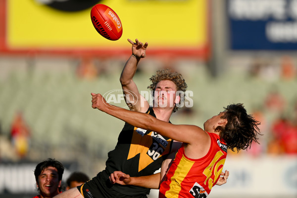 VFL 2023 Grand Final - Gold Coast v Werribee - A-43379273