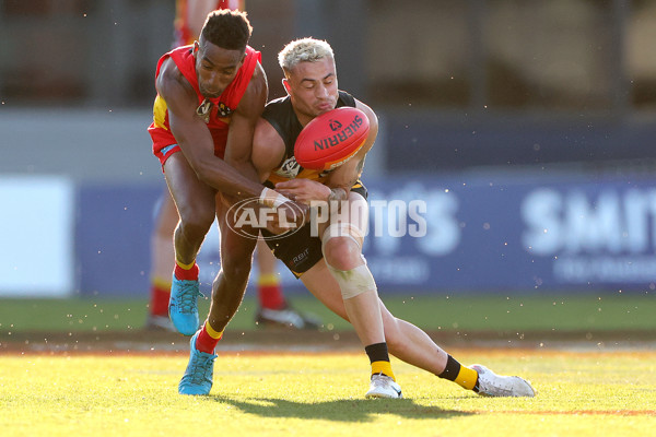 VFL 2023 Grand Final - Gold Coast v Werribee - A-43380690