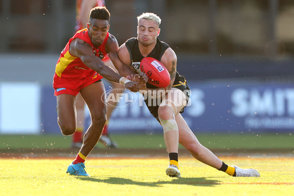 VFL 2023 Grand Final - Gold Coast v Werribee - A-43381740