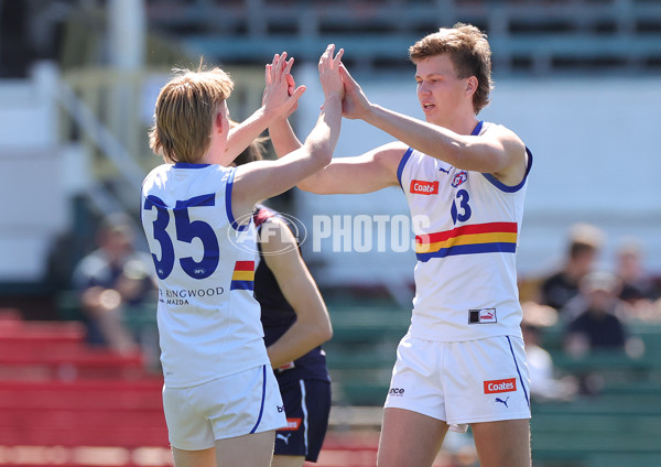 Coates Talent League Boys 2023 Grand Final - Sandringham Dragons v Eastern Ranges - A-43395331