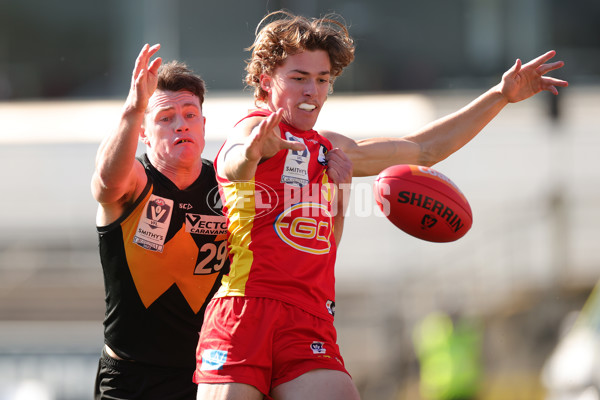 VFL 2023 Grand Final - Gold Coast v Werribee - A-43395836