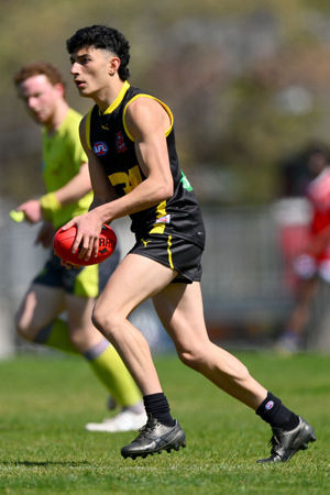 DSBHAVDAS23MH6079 copy.jpg