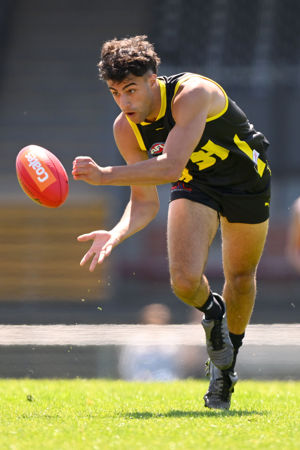 DSBHAVDAS23MH6171 copy.jpg