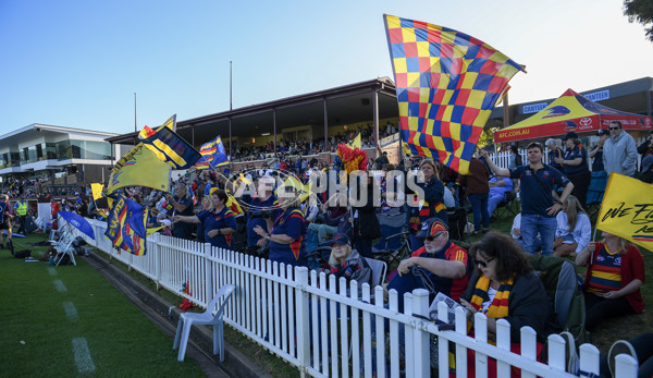 AFLW 2023 Round 05 - Adelaide v Gold Coast - A-43589239