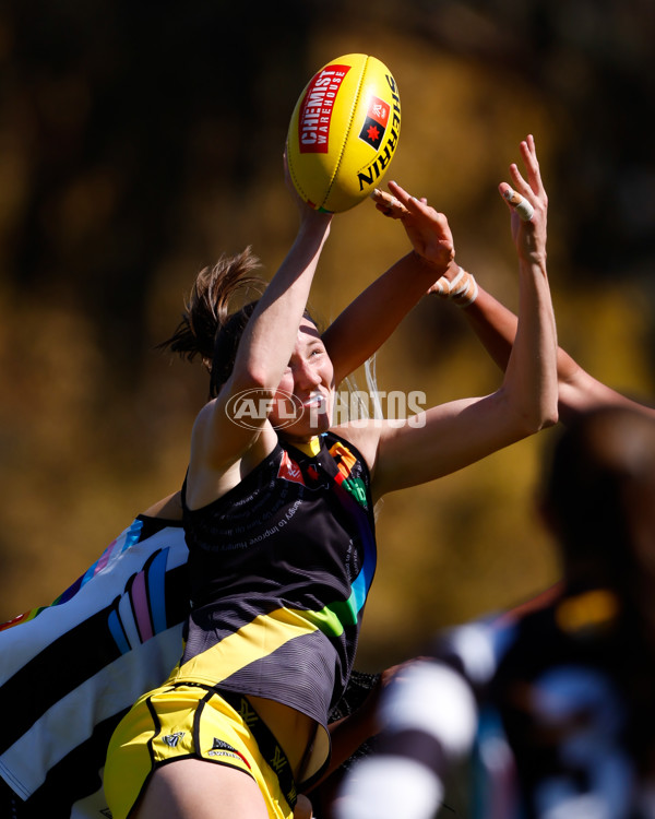 AFLW 2023 Round 10 - Collingwood v Richmond - A-45009962