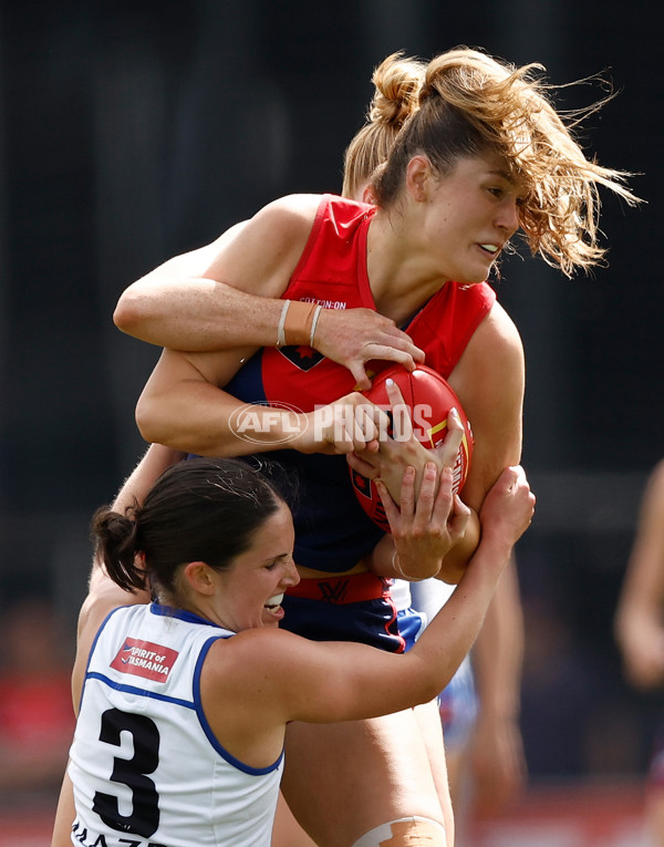 AFLW 2023 Second Qualifying Final - Melbourne v North Melbourne - A-45073336