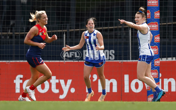 AFLW 2023 Second Qualifying Final - Melbourne v North Melbourne - A-45073354