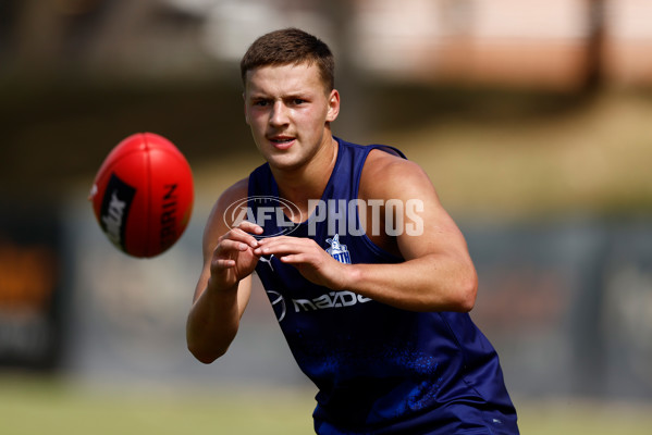 AFL 2023 Training - North Melbourne 131123 - A-45078183