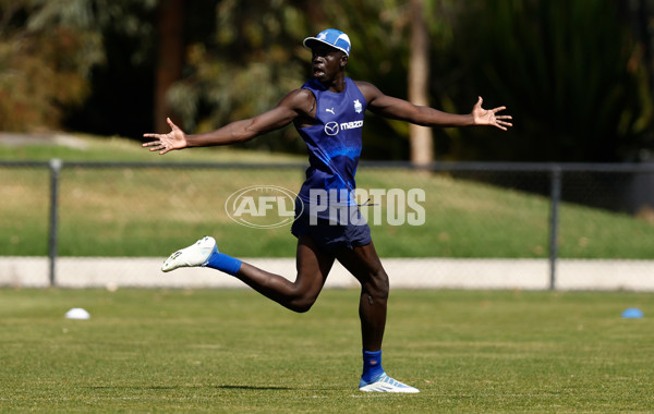 AFL 2023 Training - North Melbourne 131123 - A-45078185