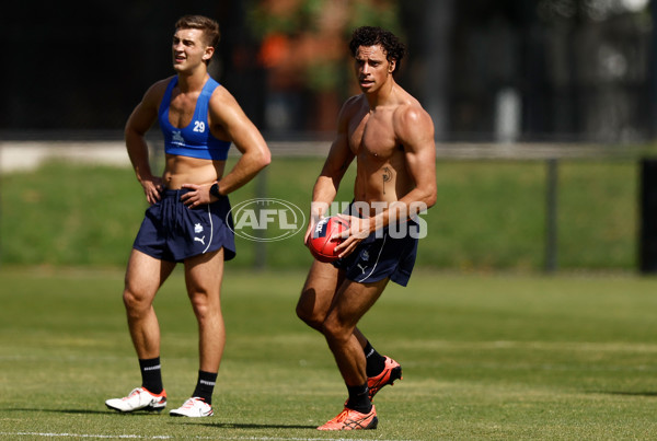 AFL 2023 Training - North Melbourne 131123 - A-45078216