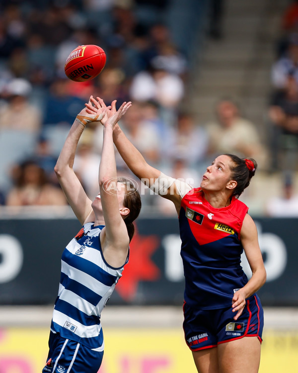 AFLW 2023 Second Semi Final - Melbourne v Geelong - A-45118428