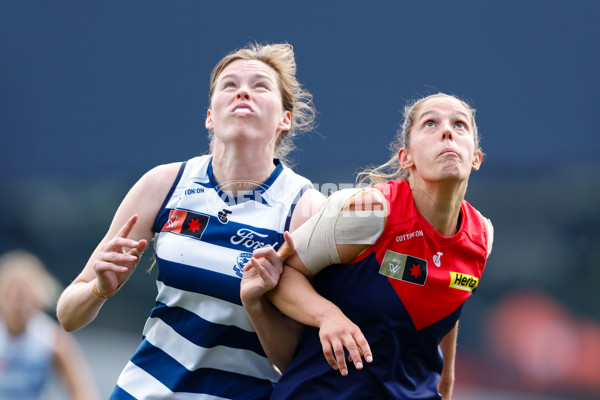 AFLW 2023 Second Semi Final - Melbourne v Geelong - A-45118438