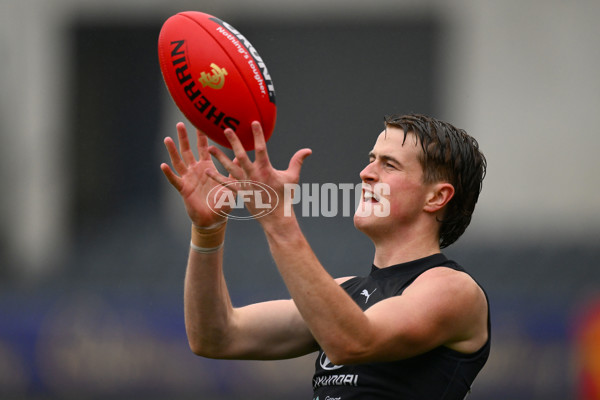 AFL 2023 Training - Carlton 271123 - A-45205603