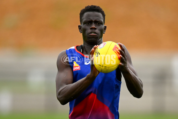 AFL 2023 Training - Western Bulldogs 271123 - A-45207061