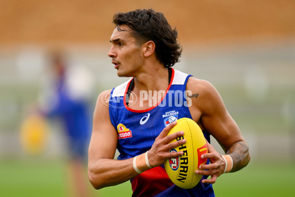 AFL 2023 Training - Western Bulldogs 271123 - A-45207085