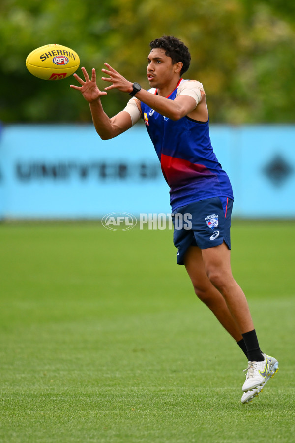 AFL 2023 Training - Western Bulldogs 271123 - A-45208248