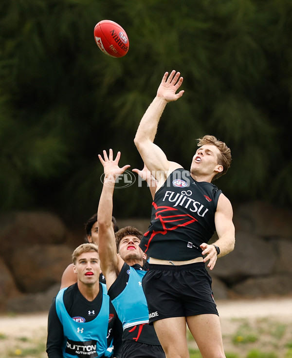 AFL 2024 Training - Essendon 220124 - A-45914072