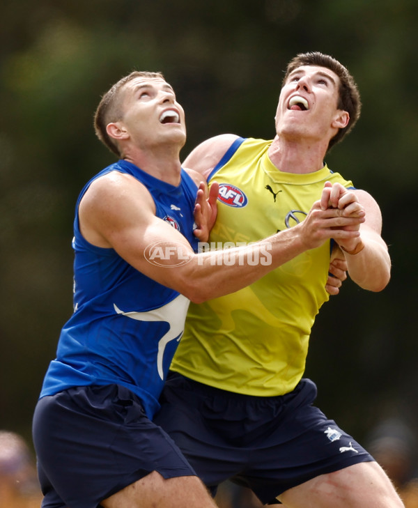 AFL 2024 Training - North Melbourne 260124 - A-45925948