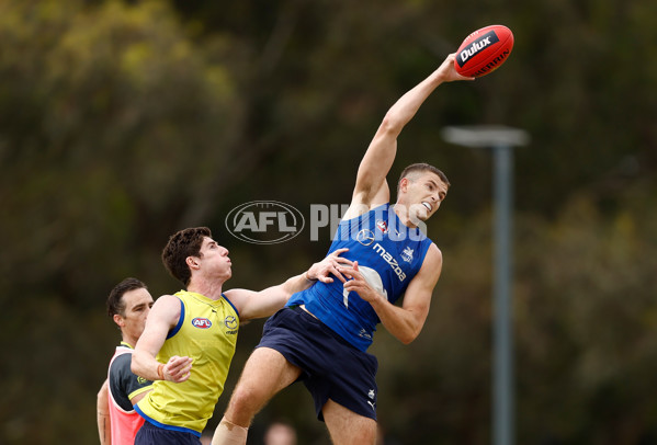 AFL 2024 Training - North Melbourne 260124 - A-45925951