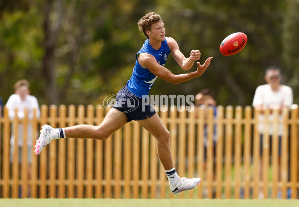 AFL 2024 Training - North Melbourne 260124 - A-45925956