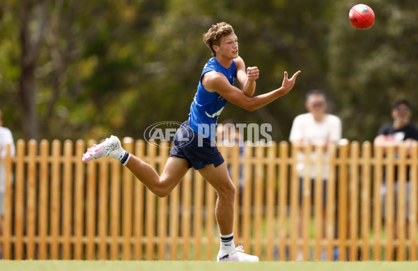 AFL 2024 Training - North Melbourne 260124 - A-45926156